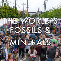 The World’s Fossils & Minerals